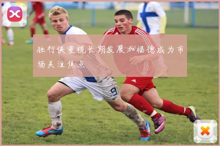 独行侠重视长期发展加福德成为市场关注焦点