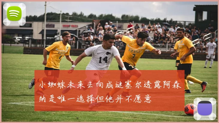 小蜘蛛未来去向成谜塞尔透露阿森纳是唯一选择但他并不愿意